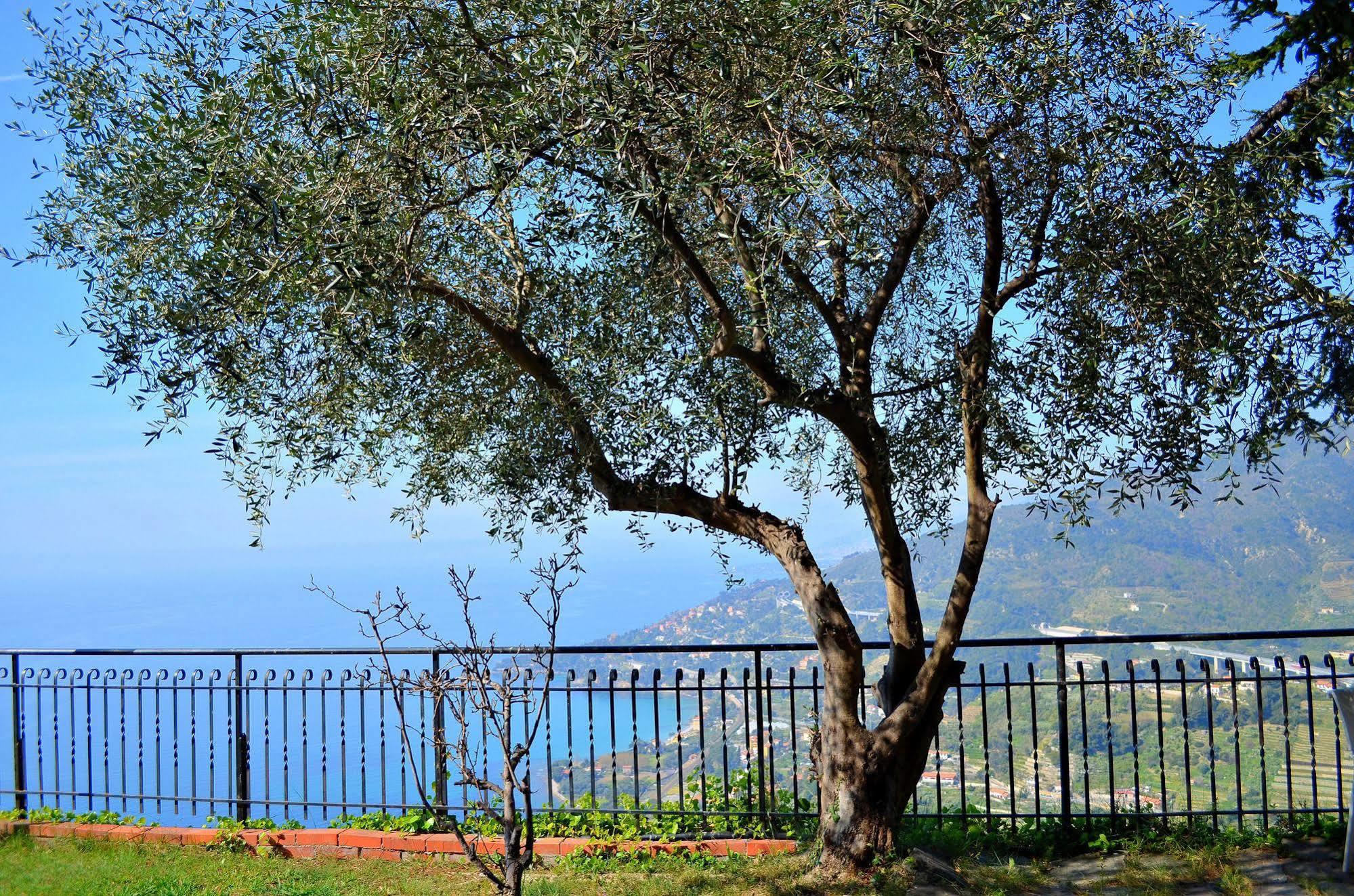 Hotel La Riserva Di Castel D'appio- Charme & Relax Ventimiglia